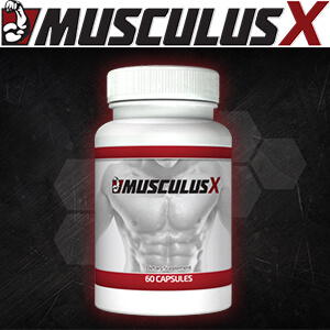 Musculus X
