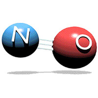 What Is Nitric Oxide?